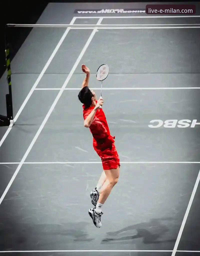 3个关键视角，深度解析石宇奇亚锦赛夺冠的技术表现